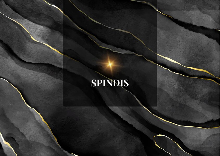 SPINDIS dovanų kuponas pasirinktai sumai, atliekant giluminį minkštų baldų, kilimų ar čiužinių valymą